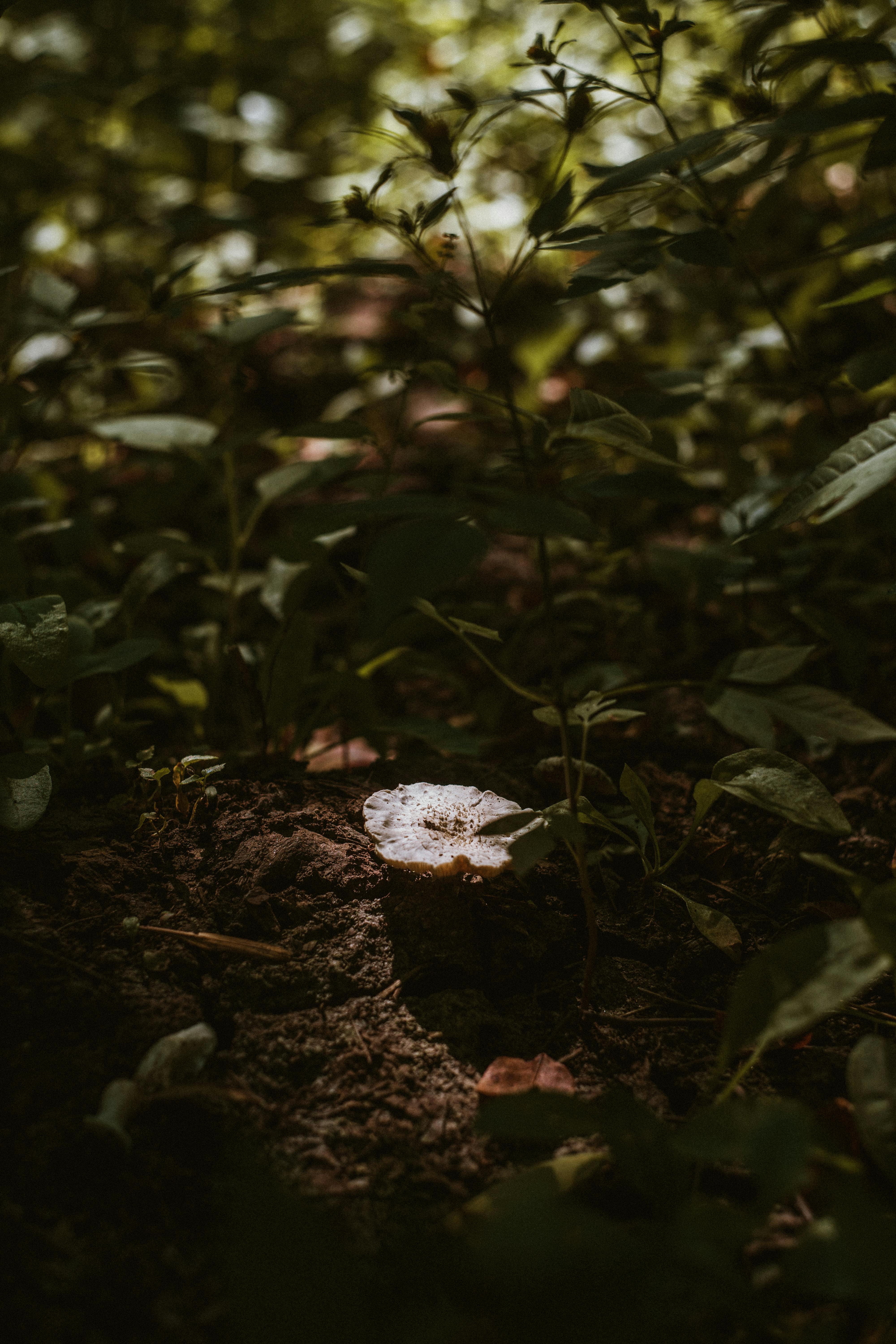 مدیریت تغذیه